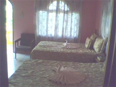 Cotton Tree Hotel Negril Quarto foto